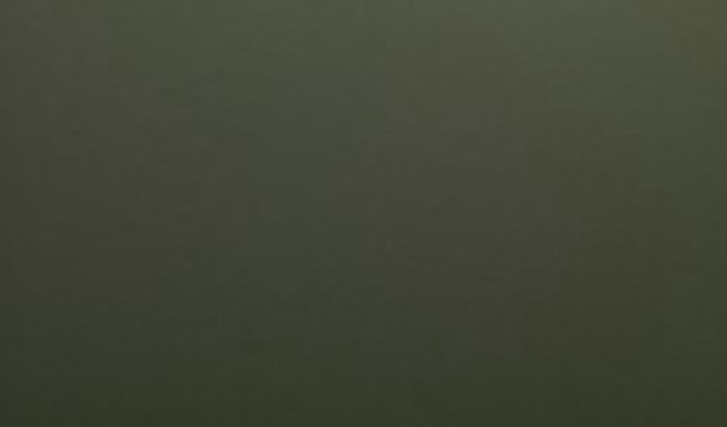 Satin Flip Psychedelic