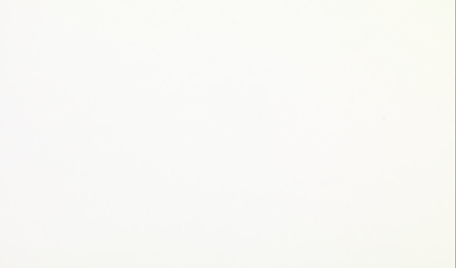 Satin Flip Glacial Frost